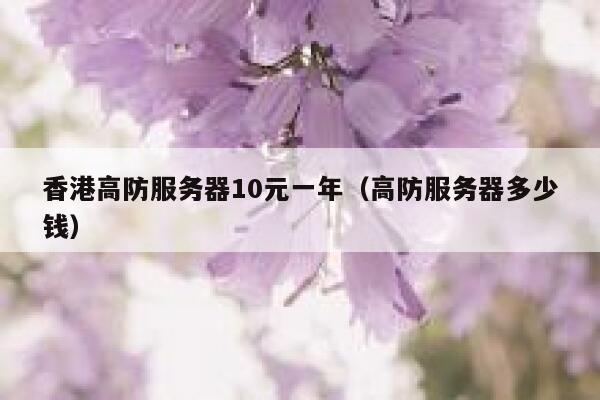 香港高防服务器10元一年（高防服务器多少钱）