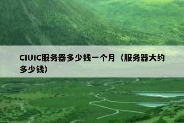 CIUIC服务器多少钱一个月（服务器大约多少钱）
