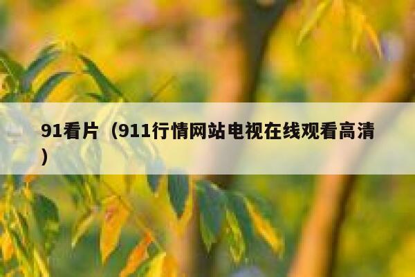 91看片（911行情网站电视在线观看高清）