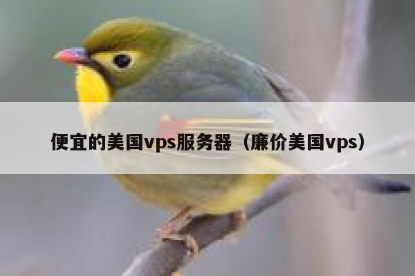 便宜的美国vps服务器（廉价美国vps）