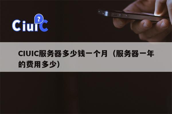 CIUIC服务器多少钱一个月（服务器一年的费用多少）