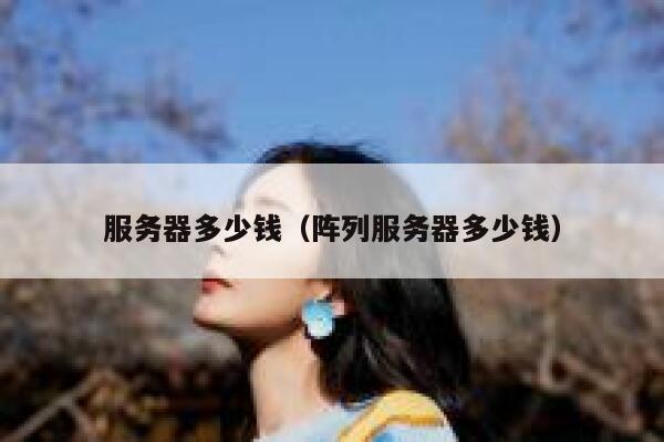 服务器多少钱（阵列服务器多少钱）
