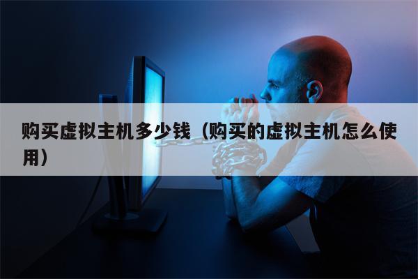 购买虚拟主机多少钱（购买的虚拟主机怎么使用）