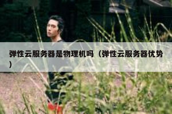 弹性云服务器是物理机吗（弹性云服务器优势）