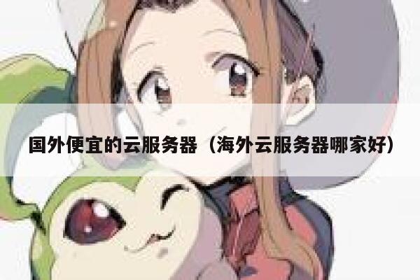 国外便宜的云服务器（海外云服务器哪家好）