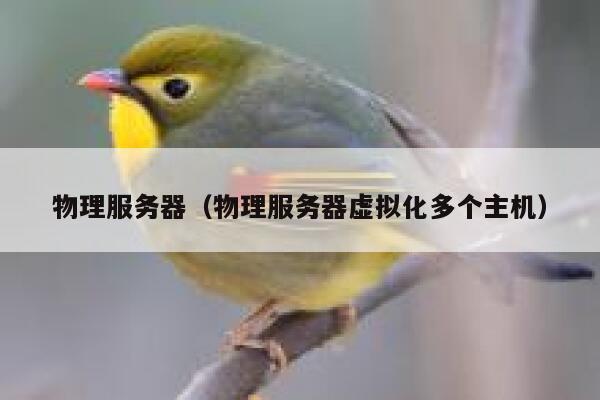 物理服务器（物理服务器虚拟化多个主机）