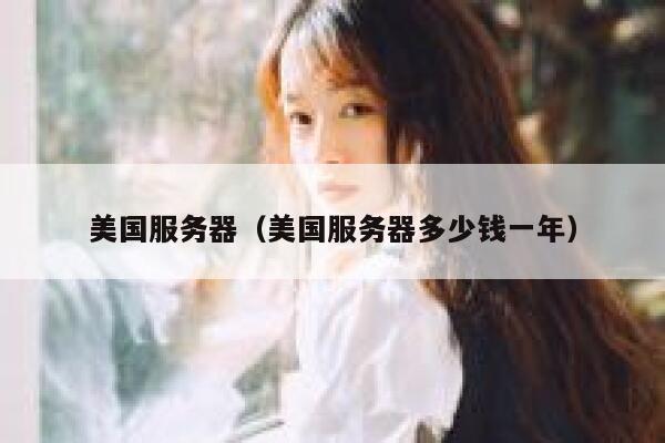 美国服务器（美国服务器多少钱一年）